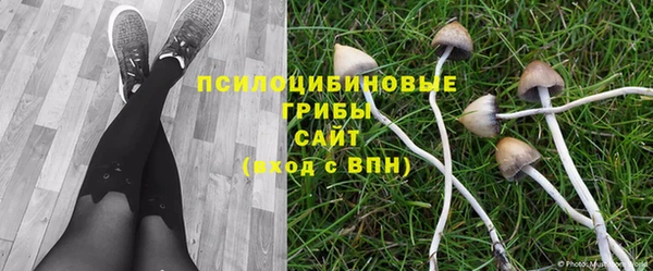 эйфоретик Горно-Алтайск