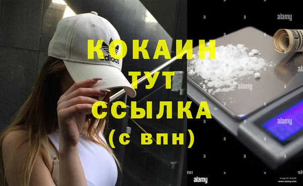 стафф Горняк