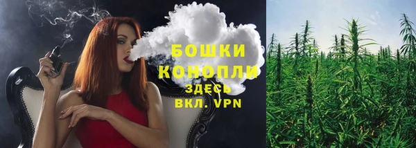 стафф Горняк