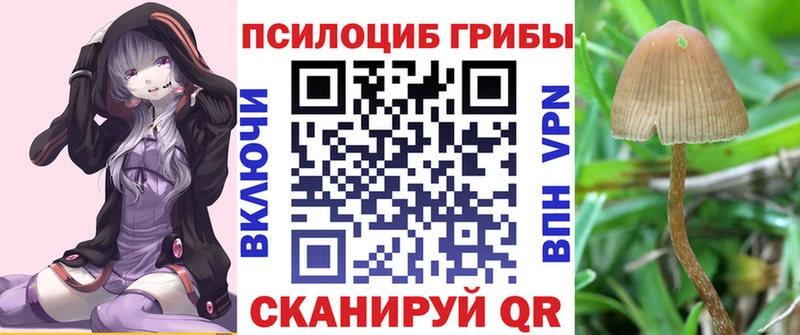 Галлюциногенные грибы Magic Shrooms  Гороховец 
